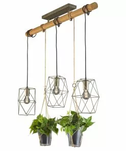 Trio Lighting Riippuvalaisin Plant, 3-lamp., Lasit Koristeille